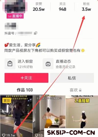 普通宝妈制作短视频30天内赚60万,真实案例解析 普通宝妈制作短视频30天内赚60万,真实案例解析