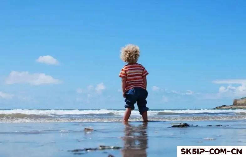 适合家庭主妇赚钱的项目:轻松在家开启副业之路 适合家庭主妇赚钱的项目:轻松在家开启副业之路