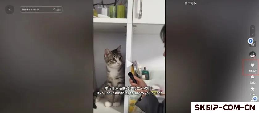 AI动物采访短视频,手把手教你打造爆款,附教程 AI动物采访短视频,手把手教你打造爆款,附教程