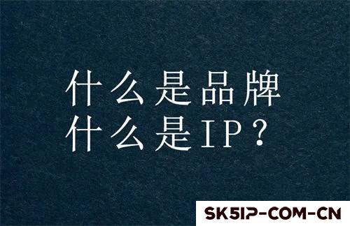 打造个人IP,掌握这十大数据法则,成就独一无二的品牌魅力! 打造个人IP,掌握这十大数据法则,成就独一无二的品牌魅力!