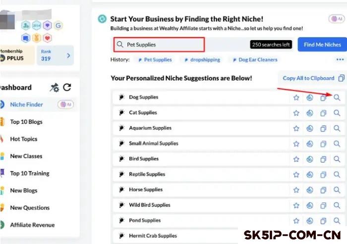 如何使用 niche finder 寻找利基市场 如何使用 niche finder 寻找利基市场