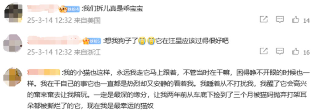 从“嗨,爹地”到现象级萌宠博主,一只“爹宝狗”如何迷倒300万年轻人? 从“嗨,爹地”到现象级萌宠博主,一只“爹宝狗”如何迷倒300万年轻人?
