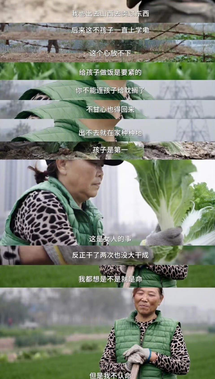 2024,网红爆火的“速成秘籍” 2024,网红爆火的“速成秘籍”