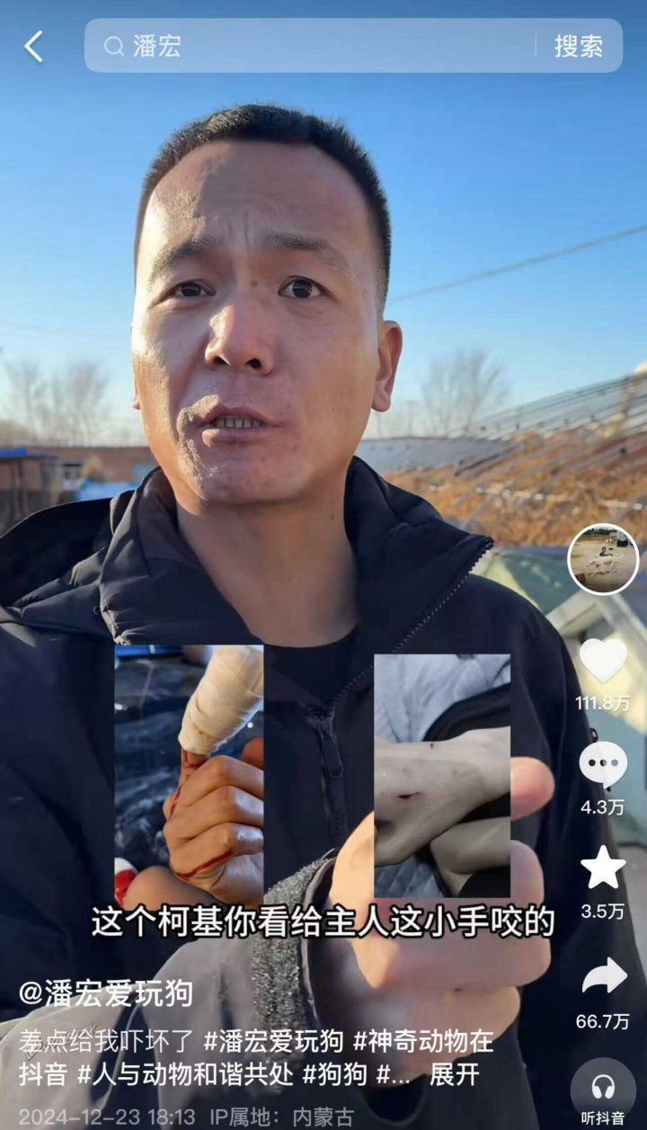 2024,网红爆火的“速成秘籍” 2024,网红爆火的“速成秘籍”