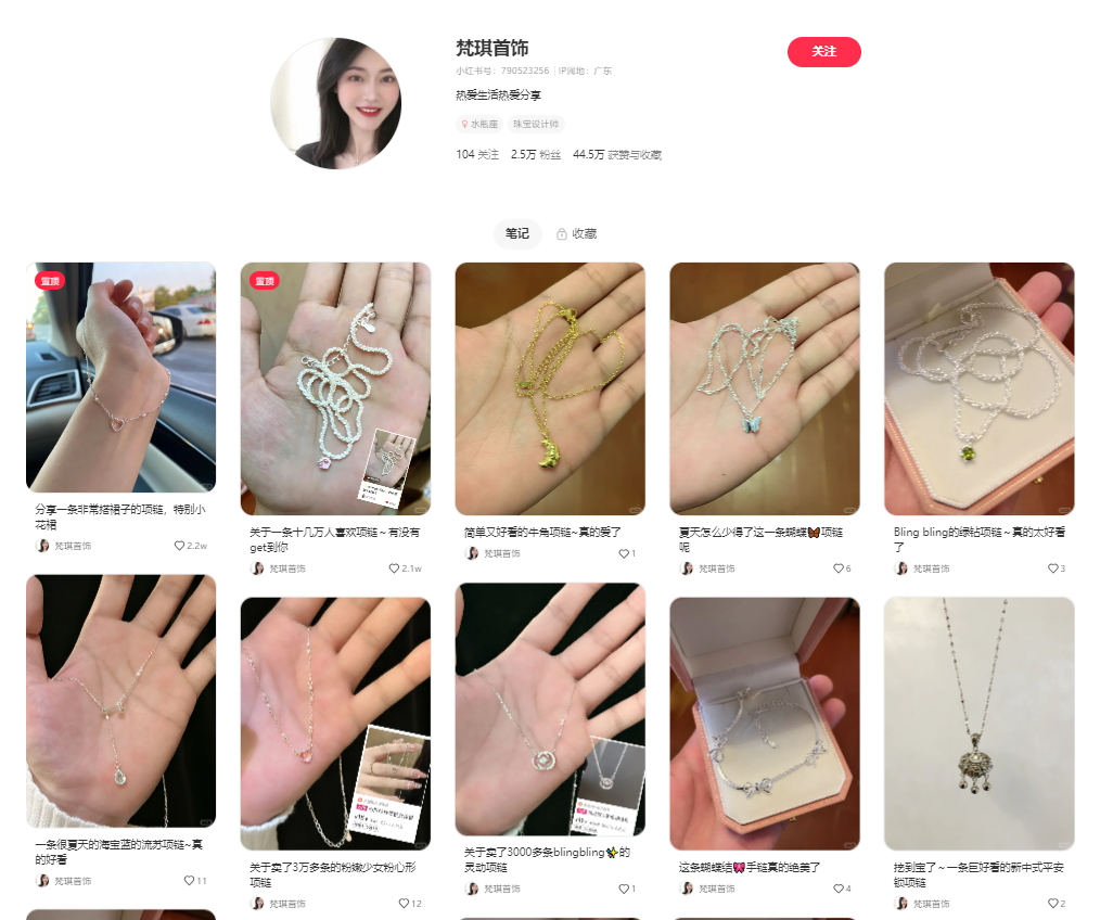 小红书的这3种投放渠道一定要了解! 小红书的这3种投放渠道一定要了解!