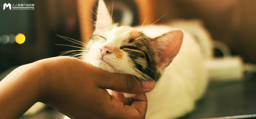 萌宠在小红书种草营销中价值巨大 萌宠在小红书种草营销中价值巨大