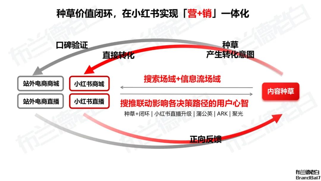 发力小红书,品牌老板需要有的30条认知! 发力小红书,品牌老板需要有的30条认知!