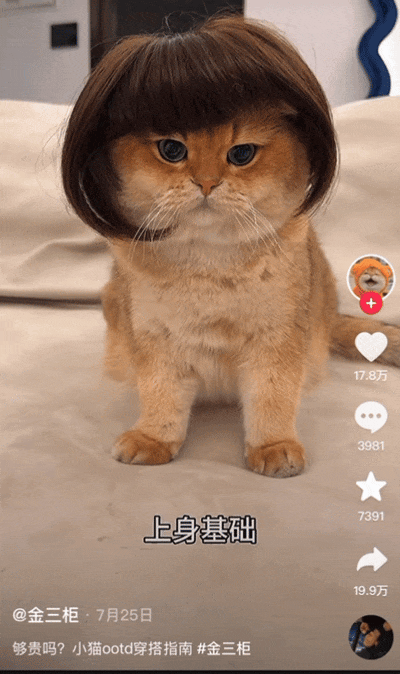 “XX基础,XX就不基础” ,如何引发抽象狂欢? “XX基础,XX就不基础” ,如何引发抽象狂欢?