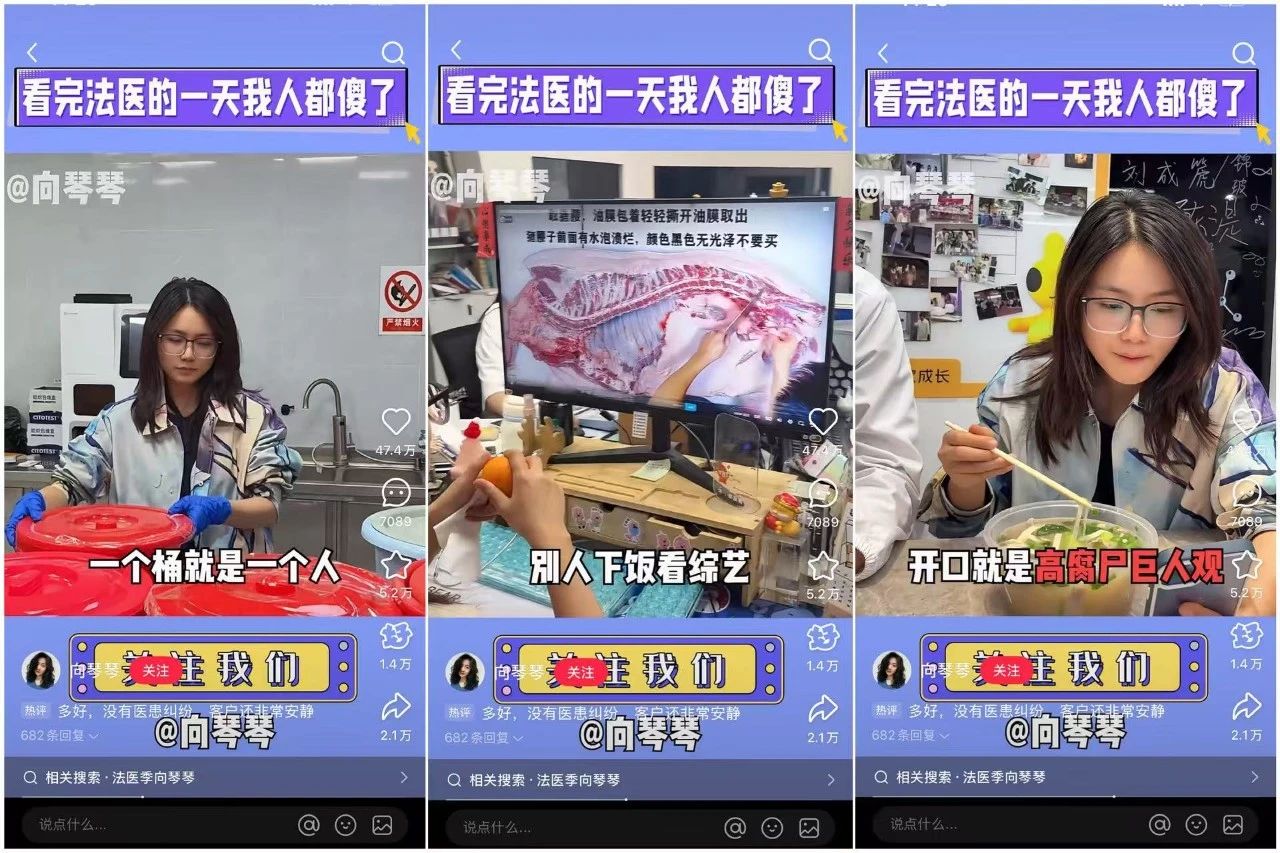 厦航空姐吸粉40万,这个赛道成小红书香饽饽 厦航空姐吸粉40万,这个赛道成小红书香饽饽