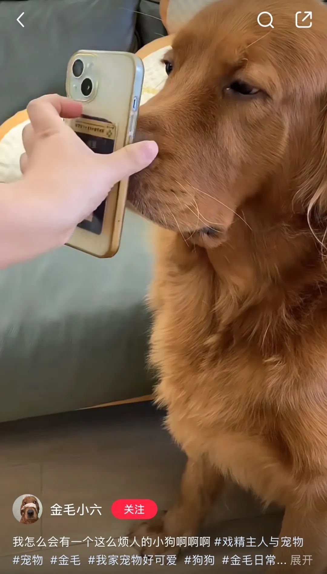 花式抢券行为大赏:淘宝证明人类对抢券手法的开发不足1% 花式抢券行为大赏:淘宝证明人类对抢券手法的开发不足1%