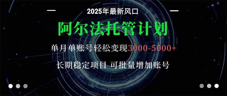 阿尔法托管计划 单账号月入3000-5000，长期稳定项目，新手小白轻松上手。